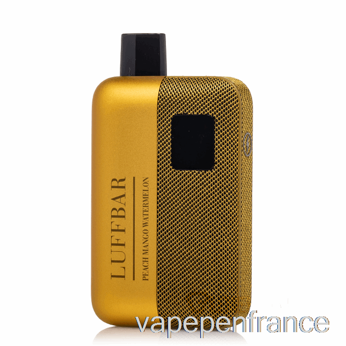 Luffbar Tt9000 Stylo Vape Jetable Pêche Mangue Pastèque